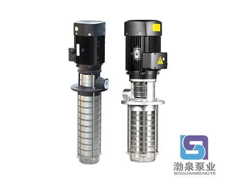 CDLKF1-190/19|浸入式多級離心泵