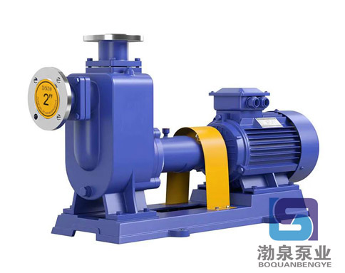 ZW65-65-25_臥式自吸無堵塞排污泵